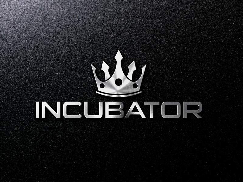 formation incubator avis