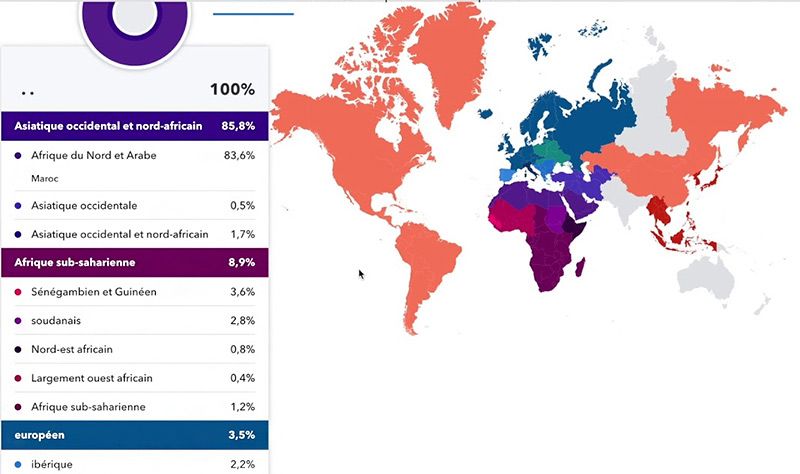 23andme connaitre haplogroupe avis