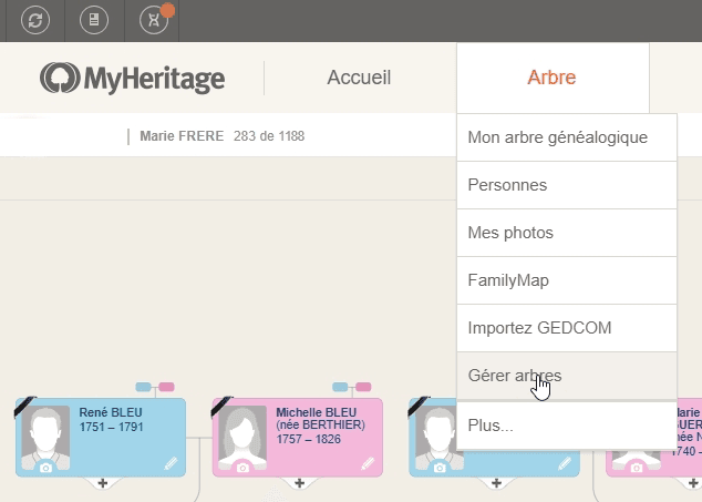 avis myheritage arbre genealogique