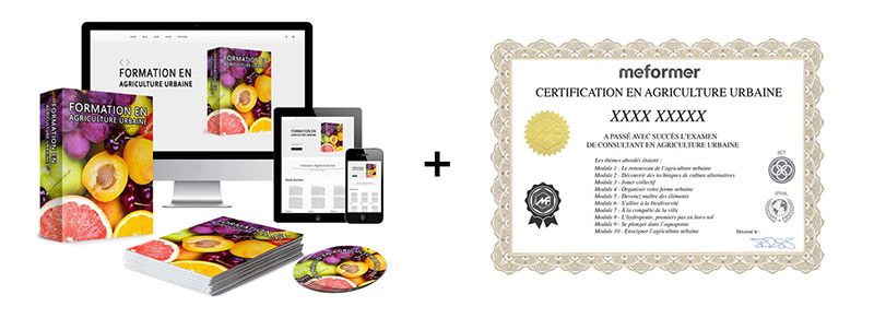 meformer modalites apprentissage avis