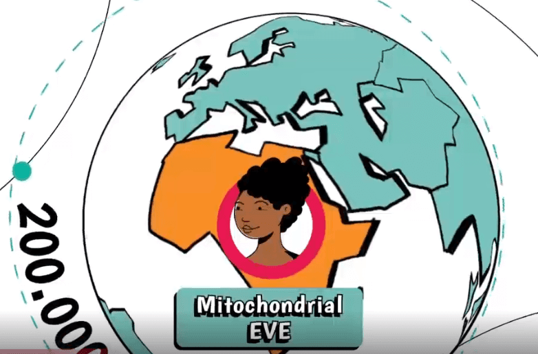 avis familytreedna test ascendance maternelle