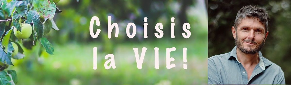 thierry-casasnovas-avis